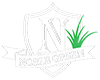 Noble Green Buffalo Grass